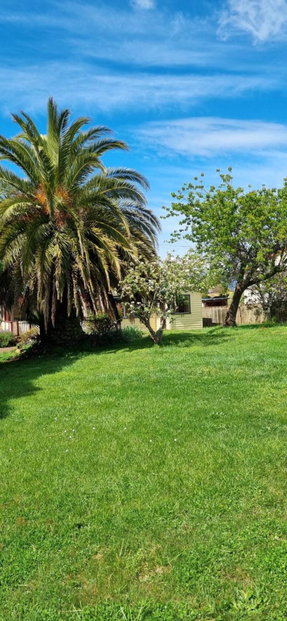 Belle Cottage Scottsdale Exteriör bild